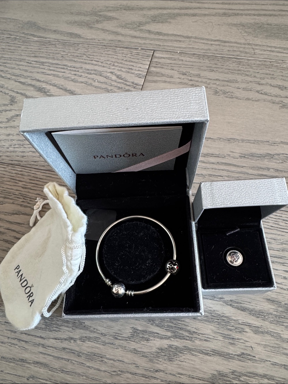 Pandora Silver Charm Bangle with a 2 Disney Logo Charms (Disney Edition)
